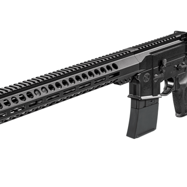 Buy FN 15 Guardian 10rd Semi-Automatic Centerfire Rifle Online