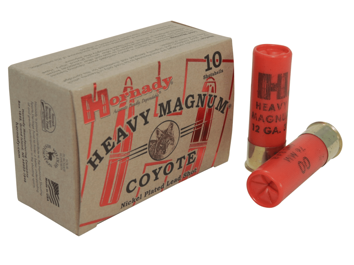 Hornady Heavy Magnum Coyote Ammunition 12 Gauge 3" 00 Buckshot Nickel Plated Box of 10